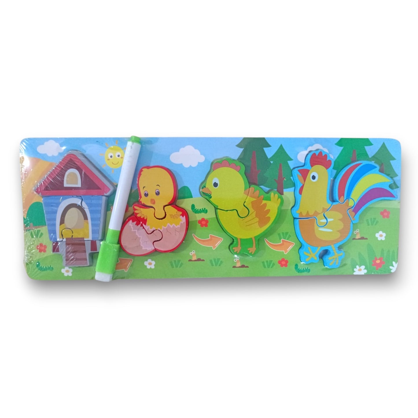 Puzzle Pizarra Interactivo Etapas del Crecimiento