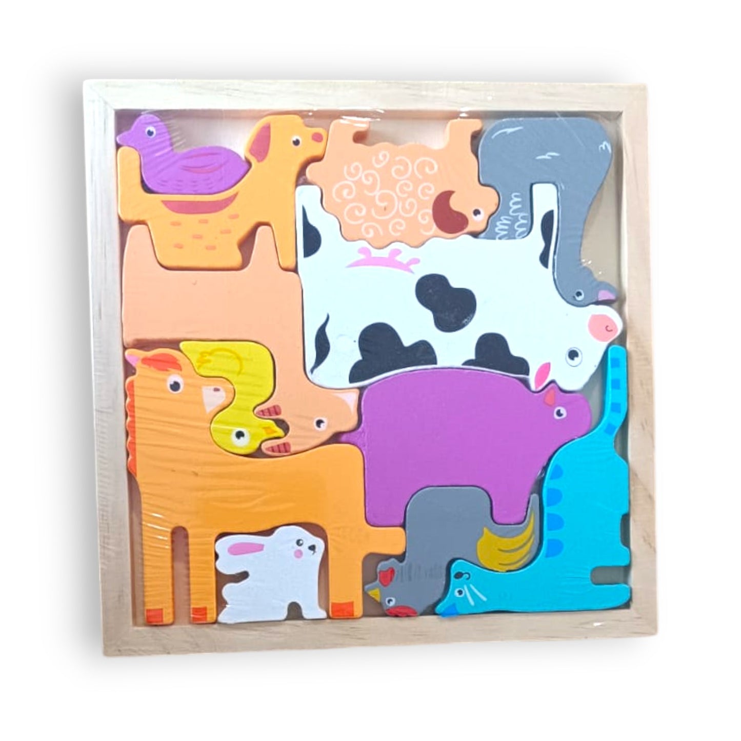Rompecabezas Didácticos De Encastre En Madera